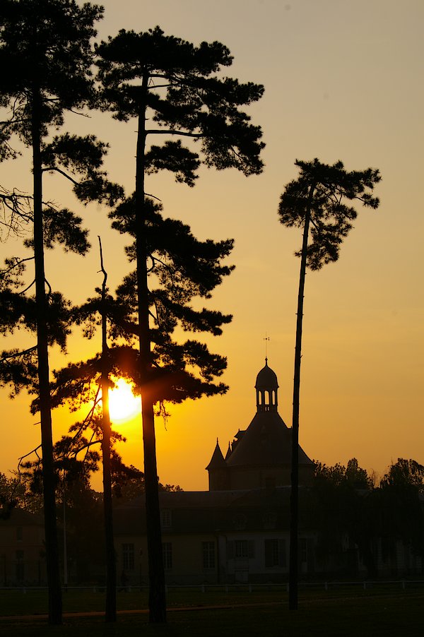 Le Donjon de Ste Genevieve-des-Bois: Le Donjon 013